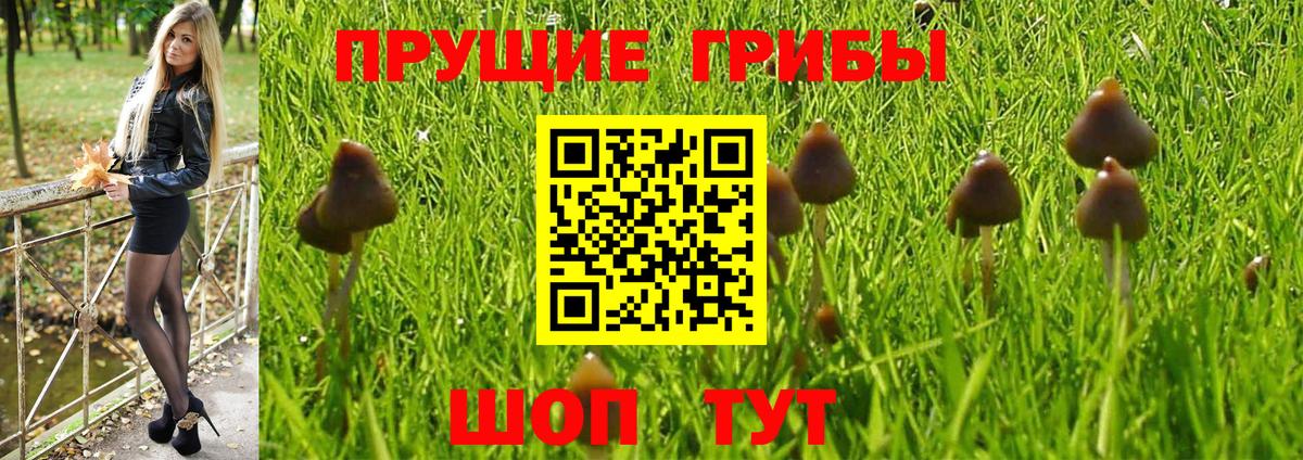 Псилоцибиновые грибы GOLDEN TEACHER  Псилоцибиновые грибы прущие грибы  Вход с VPN  Назарово 